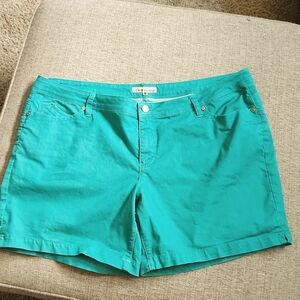 ROYALTY FOR ME Size 24W seafoam green shorts.